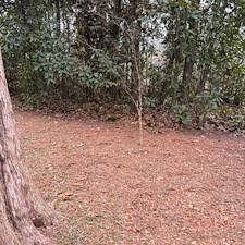 Essential-Spring-Cleanup-in-Oxford-MS 10